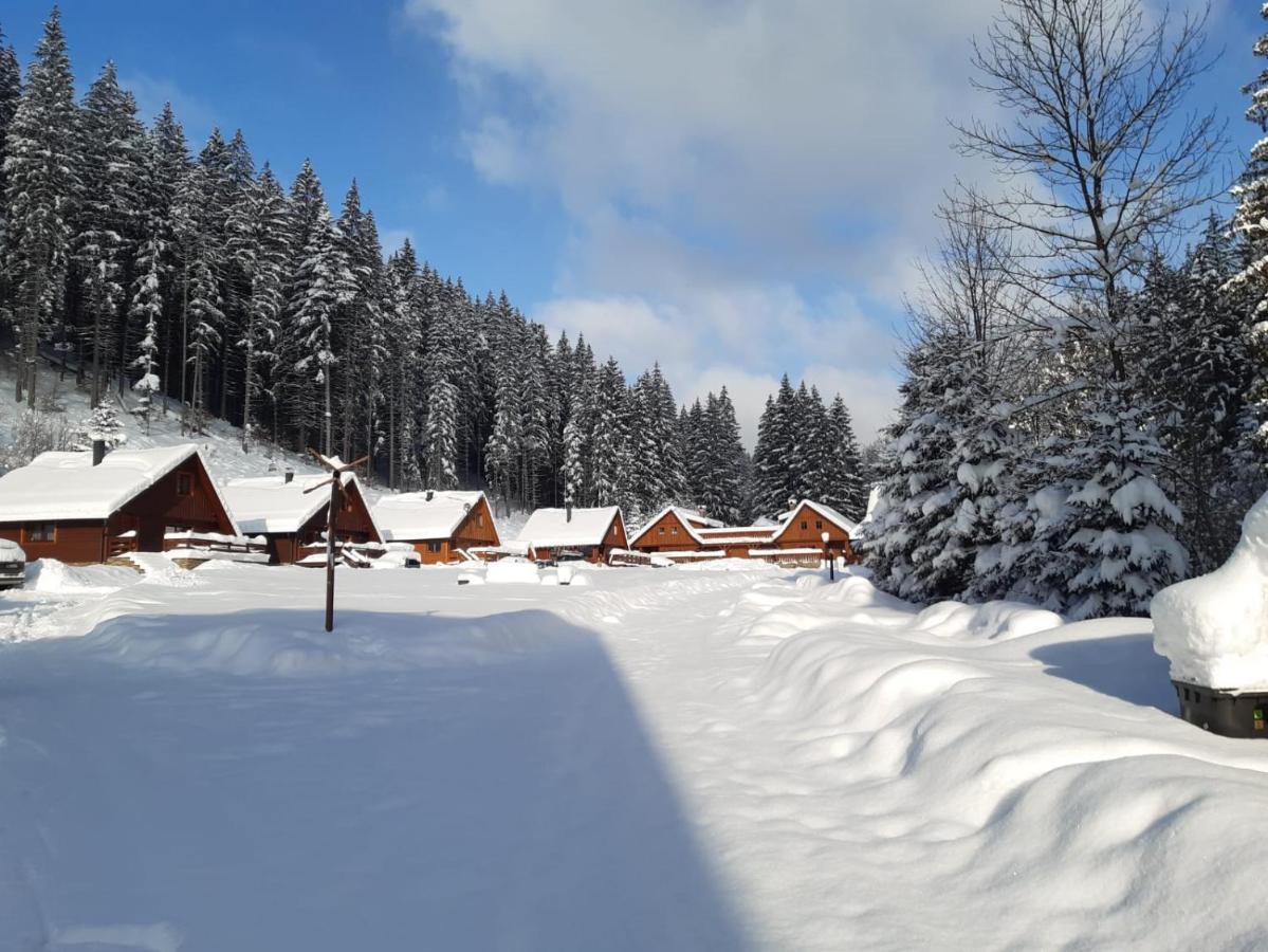 Apartman Javornik A Javornicek Daire Velké Karlovice Dış mekan fotoğraf