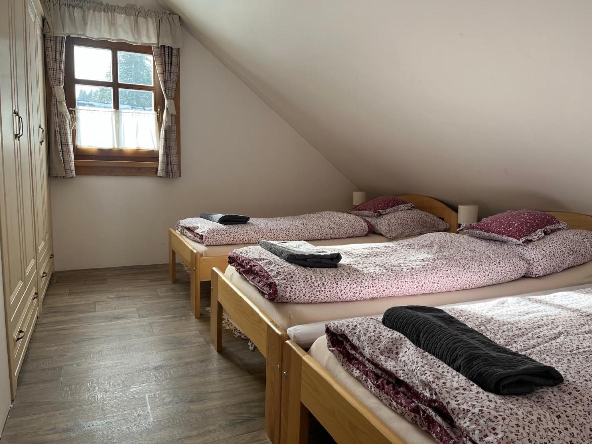 Apartman Javornik A Javornicek Daire Velké Karlovice Dış mekan fotoğraf