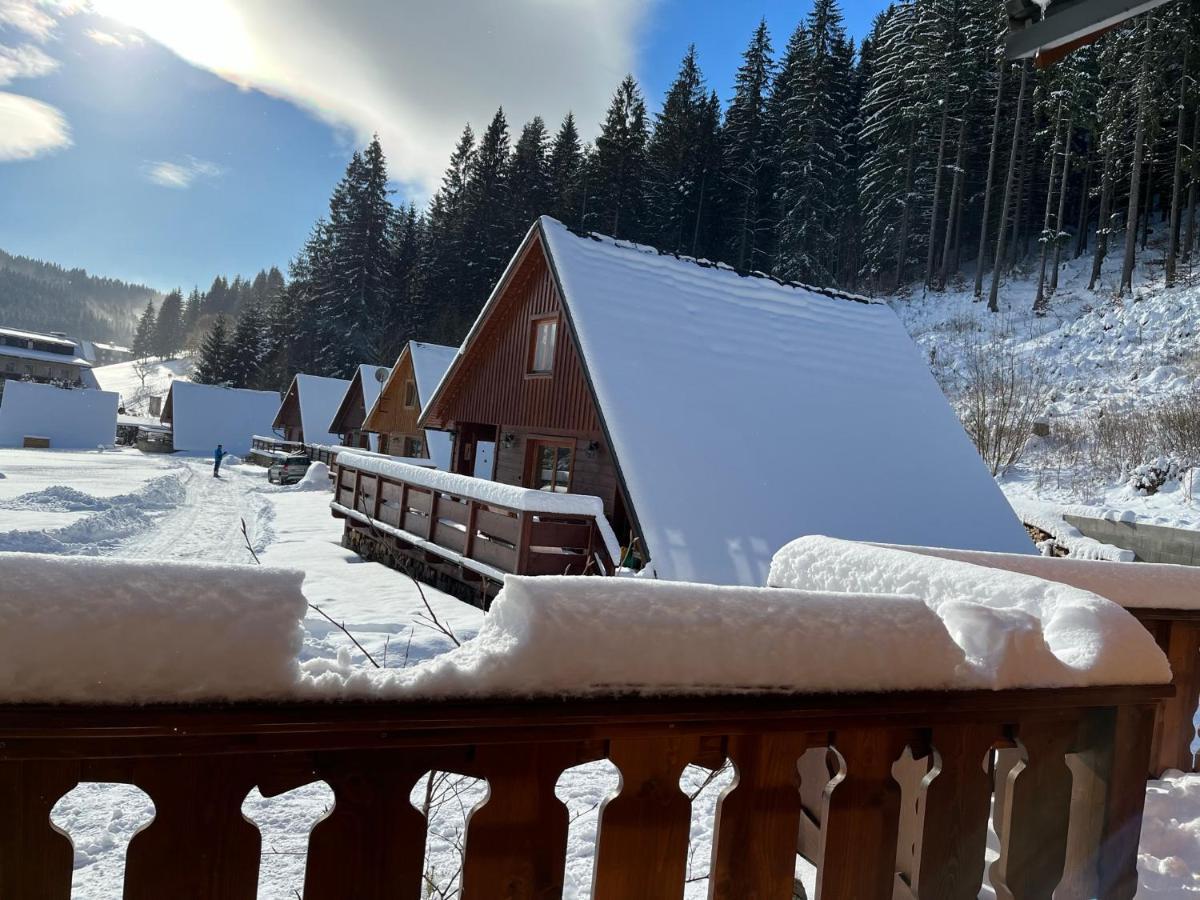 Apartman Javornik A Javornicek Daire Velké Karlovice Dış mekan fotoğraf